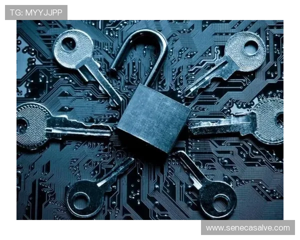 正规凯发网址官方地址入口，保障您的账户安全与资金安全的最佳选择