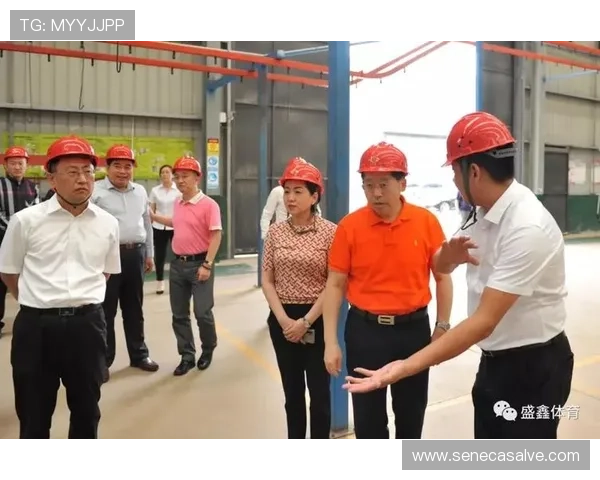 最新凯发体育集团网址查询方法及官方公告解读